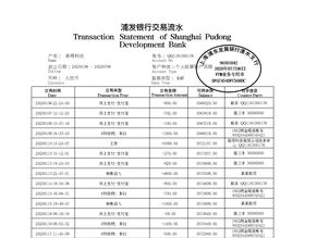 大连银行流水代办案例